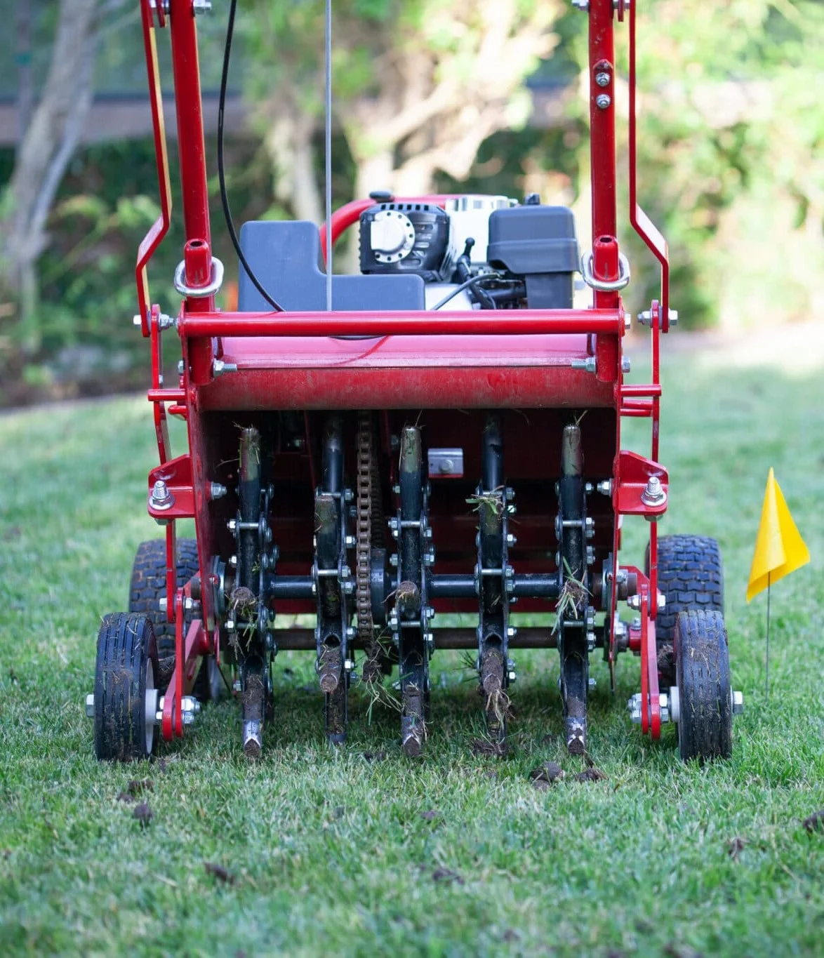 lawn Aeration