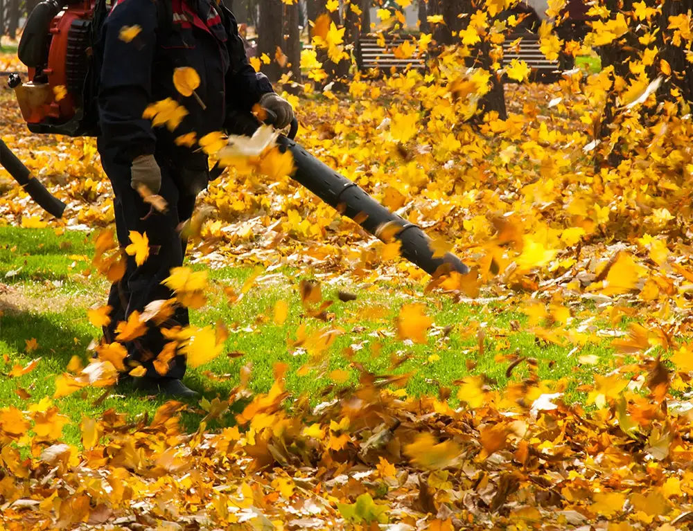 fall-clean-up